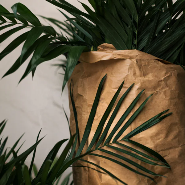Eventos, Bodas, cumpleaños, navideñas, otoño gallery 2 5